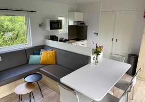 Chalet in Friesland near Nature Reserves