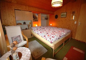 Chalet in Wilderswil with Jungfrau Views