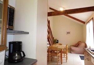 Chalet Saint-Denis-du-Maine, 3 pièces, 4 personnes - FR-1-600-88