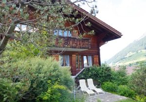 Chalet Silberdistel