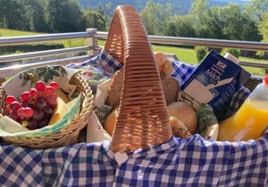 Chalet Talblick with whirlpool