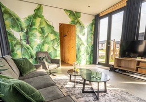 Chalet with 2 bedrooms and a terrace