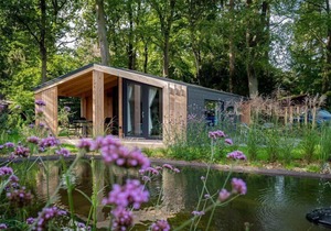 Chalet with 2 bedrooms and a terrace