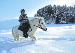 Chalets Ebner, Eben im Pongau