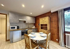 Chamonix: Appt 2P, 4 pers, terrasse, parking, proche centre et télécabine - FR-1-507-26