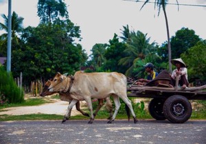 Chansor Homestay 4 By Siem Reap Homesteading