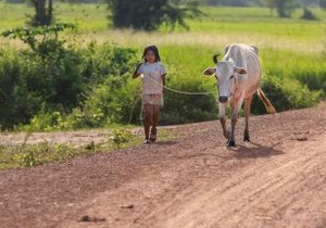 Chansor Homestay 3 By Siem Reap Homesteading