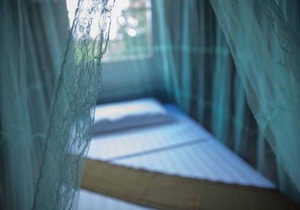 Chansor Homestay 18 By Siem Reap Homesteading