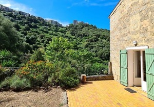 Character house with swimming pool