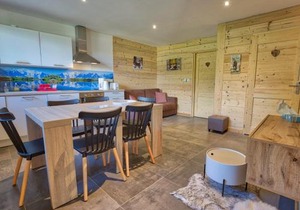 Charmant appart. au pied des pistes, proche centre, avec terrasse, casier à skis et parking - FR-1-505-106