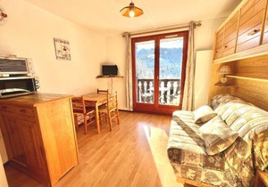 Charmant studio au pied des pistes, animaux admis - FR-1-505-79