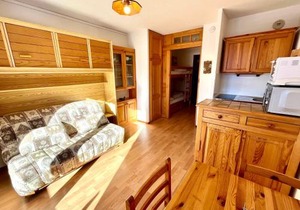 Charmant studio au pied des pistes, animaux admis - FR-1-505-79