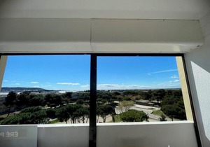 Charmant T2 avec balcon, clim et animaux admis à Balaruc-les-Bains - FR-1-503-85