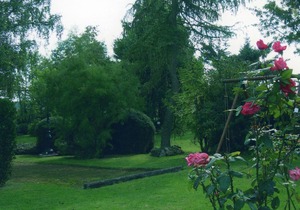 Charming 19th-Century Retreat with Spacious Park, Yoga, Cozy Fireplace, and Outdoor Adventures