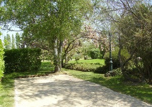 Charming 19th-Century Retreat with Spacious Park, Yoga, Cozy Fireplace, and Outdoor Adventures