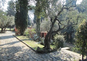 Charming And Romantic Cottage Hill Nearby Rome
