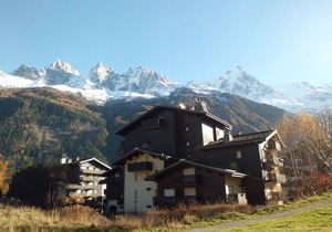 Charming apartment in Chamonix with balcony, pets allowed, parking