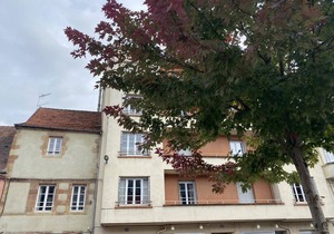 Charming Apartment in Central Moulins: 1BR, Balcony, Market Views, Free Parking, Wi-Fi