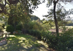 Charming apartment for 5 people with garden, BBQ and wifi