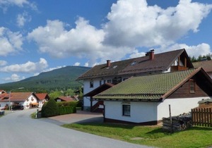 Charming apartment with WLAN and kitchen in the Bavarian Forest