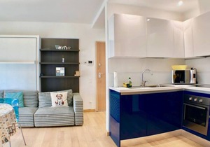 Charming apartment with terrace near Lugano lakefront - ROGGIA 7