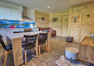 Charming apt. at the foot of the slopes, near center, with terrace, ski locker, and parking