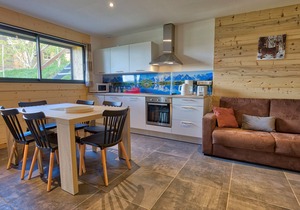 Charming apt. at the foot of the slopes, near center, with terrace, ski locker, and parking