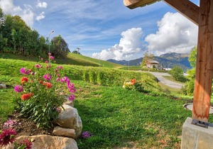 Charming apt. at the foot of the slopes, near center, with terrace, ski locker, and parking