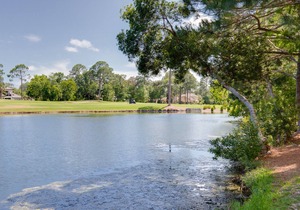 Charming Beach Cottage w/ 6-Seat GOLF CART - Easy Beach & Pool Access, Tram.