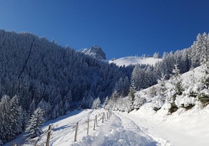 Charming chalet with panoramic view and private parking in Gruyère