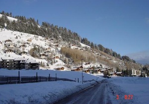 Charming chalet with panoramic view and private parking in Gruyère