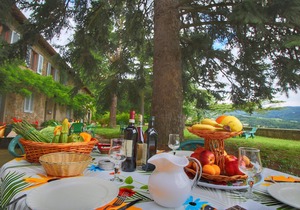Charming cottage in a wing of an old vineyard on an estate