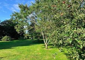 "Charming Country House with Spa, Enclosed Garden, and EV Charging"