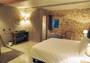 CHARMING GITE IN PROVENCE IN THE HEART OF THE VINES