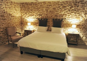 CHARMING GITE IN PROVENCE IN THE HEART OF THE VINES