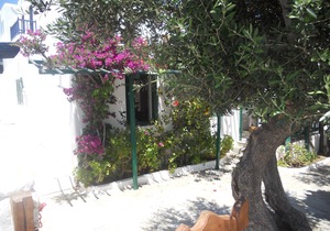 Charming House in Platy Gialos Mykonos