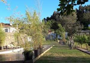 Charming House in Covelas with Pool and Mountain View