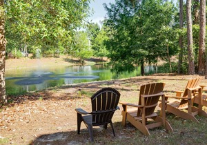 Charming Lakefront Cottage w/ TWO Golf Carts! Near Tropical Pool, Beach Tram.