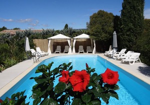 Charming period dovecote with communal swimming pool, plane trees and fountains