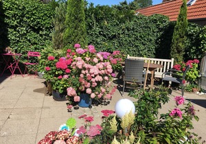 Charming, spacious town house, Friedrichstadt n. North Sea/2-4 pers