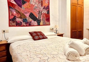 Charming Spacious Albayzin Apartment