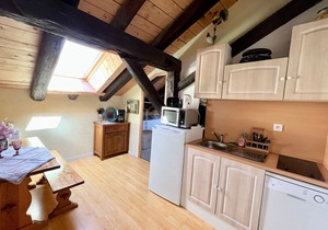 Charming studio in farmhouse with terrace and parking - Vosges mountains