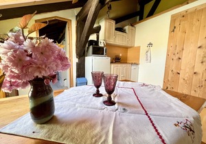 Charming studio in farmhouse with terrace and parking - Vosges mountains