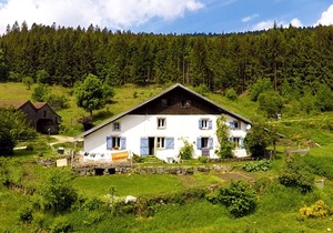 Charming studio in farmhouse with terrace and parking - Vosges mountains