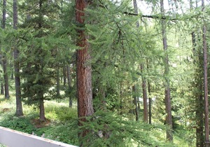 Charming Studio in Vars, 30m from Slopes, Sleeps 4