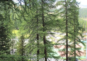 Charming Studio in Vars, 30m from Slopes, Sleeps 4