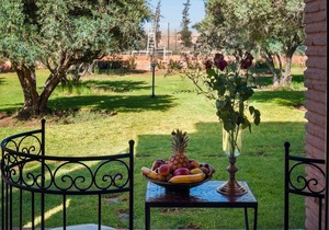 Charming villa in the heart of Marrakech palm grove