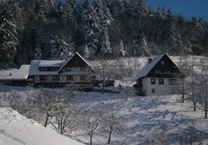 Chestnut log cabin, max. 4 persons