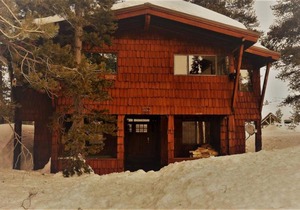 Chicken Feathers #119-3 Cabin