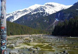 Chilkoot Haven in Haines, room #1, right on the Chilkoot River, Bear viewing